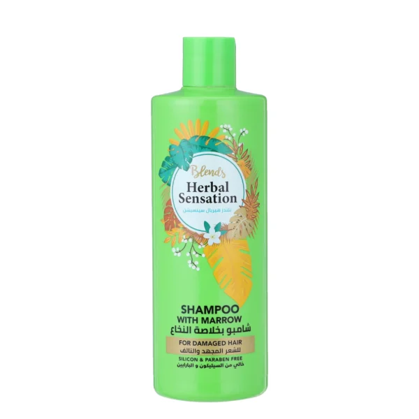 Herbal Sensation Marrow Repair Shampoo for Damaged and Frizzy Hair 850ml